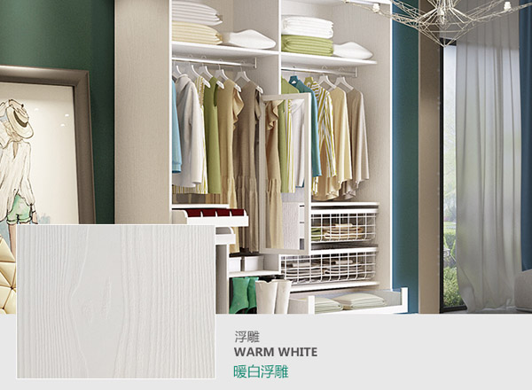 生態板大衣柜效果圖
